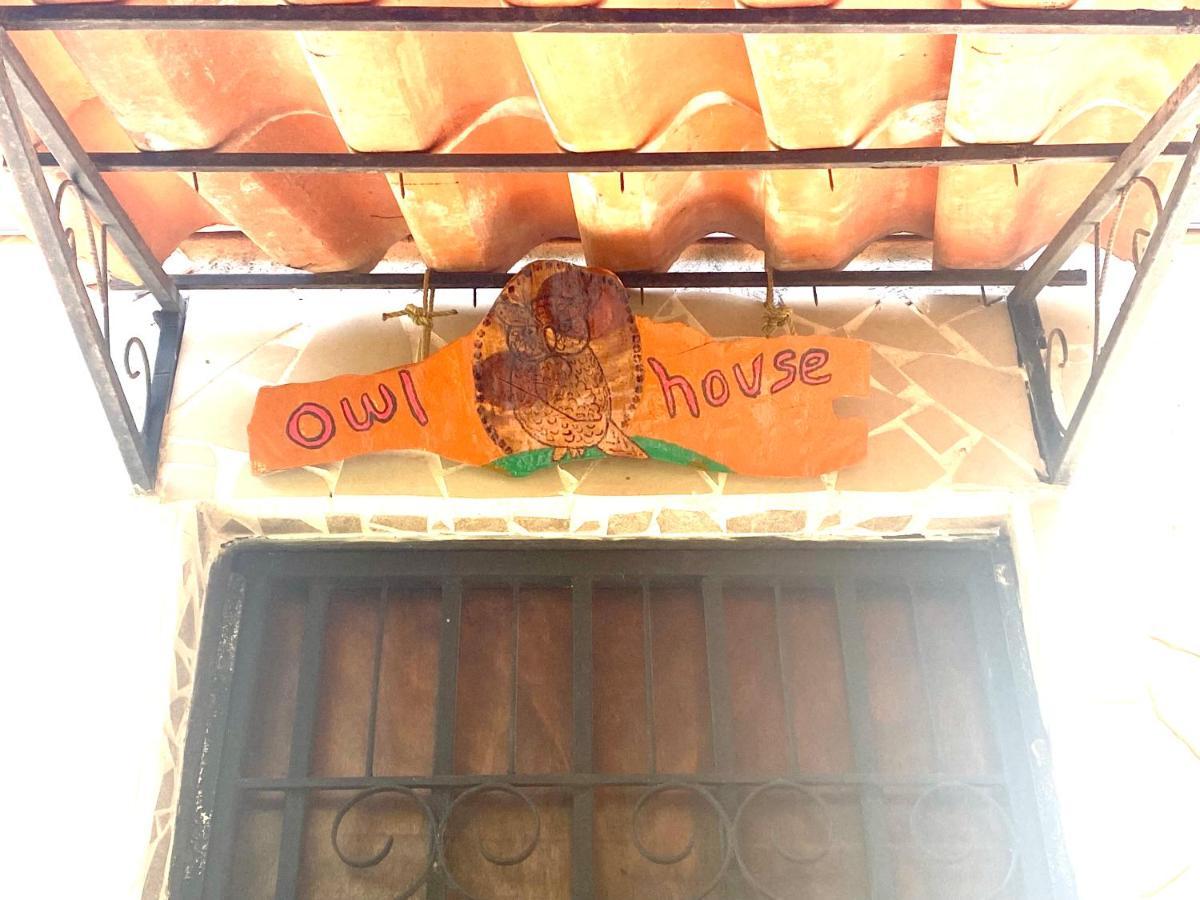 Owl House Hotell Piedades Eksteriør bilde